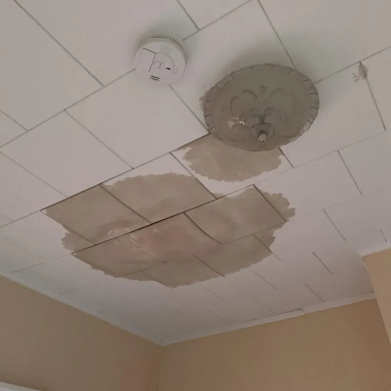 Ceiling Water Damage Repair in Kent, OH