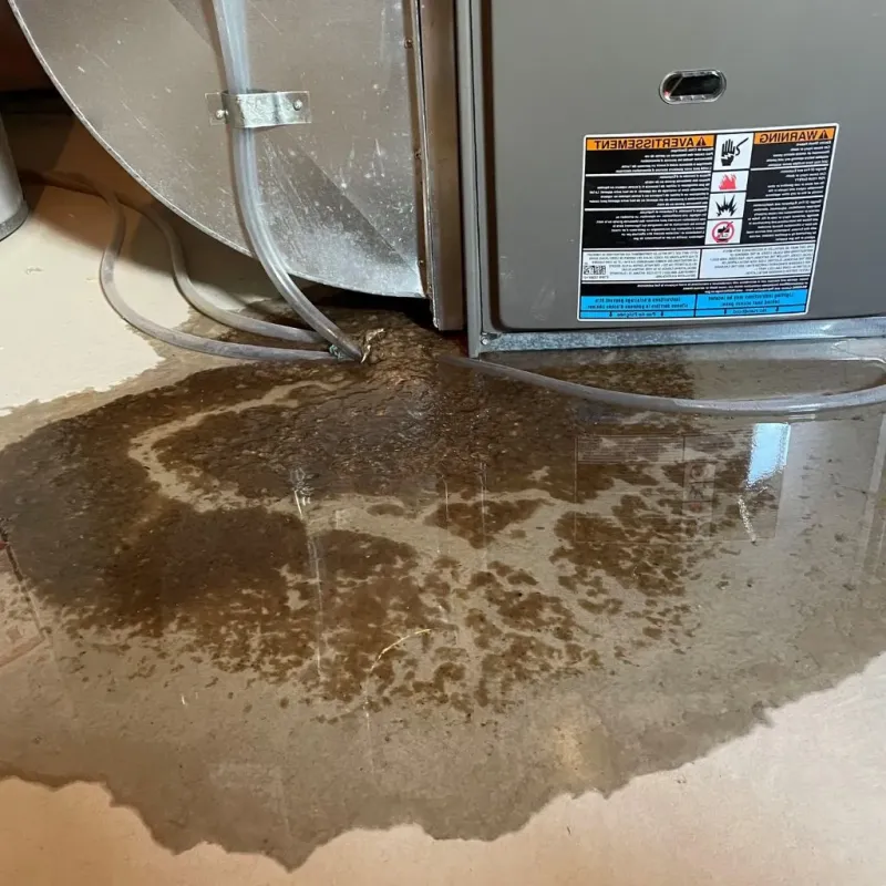 Pipe Burst and Leak Restoration in Kent, OH
