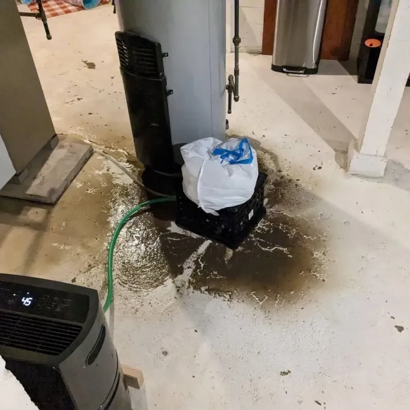 Sewage Backup Cleanup Service in Kent, OH